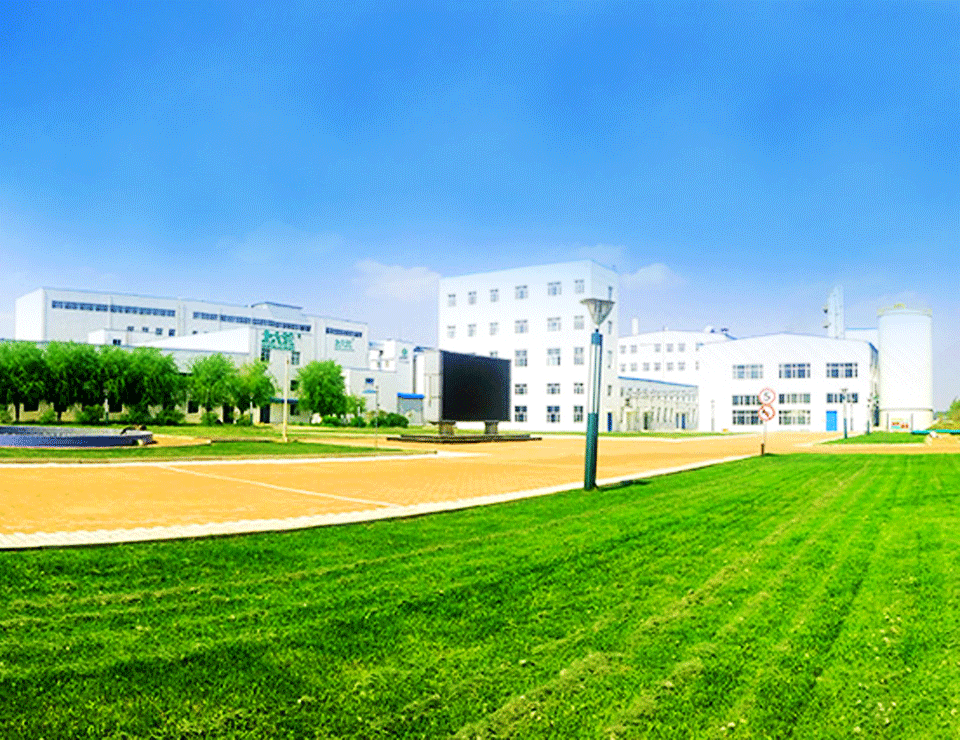 拉筹伯大学 拉筹伯大学